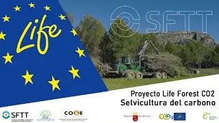 Selvicultura del carbono  COSE