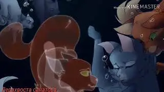 ||Коты воители ||~клип ~{Chiru Chiru}