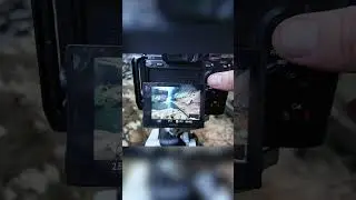 Focus stacking and exposure blending fieldwork and camera settings
