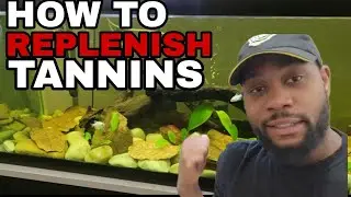HOW TO ADD and REPLENISH DARK TANNINS to your BLACKWATER AQUARIUM