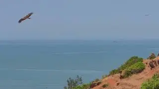 Vagator Delta View|| Chapora || #goa #vagator #vagatorbeach #shortvideo #youtubeshorts #trending