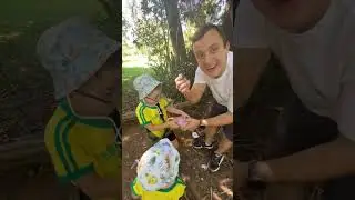 Нашли клад в Бразилии