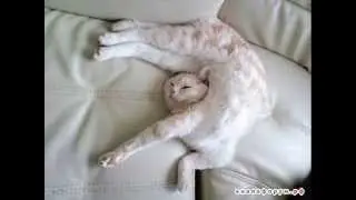 Позитивчик