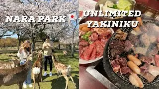 JAPAN TRAVEL GUIDE 2023: Visiting NARA PARK🦌 + Trying tasty UNLIMITED YAKINIKU in Osaka😍