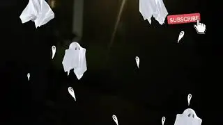 What???