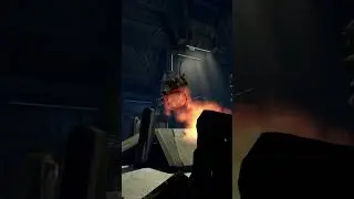 Halo - The Flood
