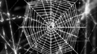 Web tastic