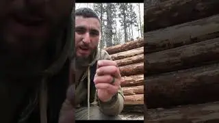 Building a free log cabin