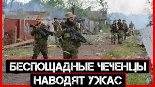 Беспощадные чеченцы наводят ужас