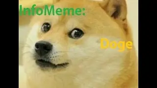 InfoMeme : The Story Of Doge