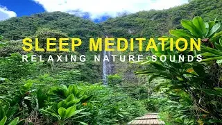 Inner Peace -Yoga Meditation -Jungle And Water Sounds #16