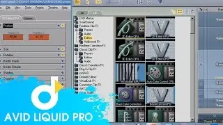 Hướng dẫn làm việc với hình ảnh trong Avid Liquid PRO