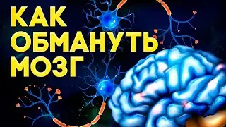 Как обмануть свой мозг. Как заставить свой мозг работать на себя. Продуктивный мозг.