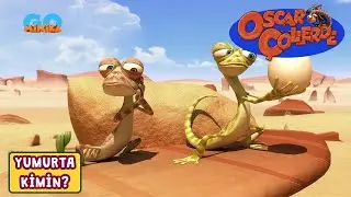 Oscar Çöllerde 🦎 | Yumurta Kimin? ​🥚​ ​​​​​| Minika