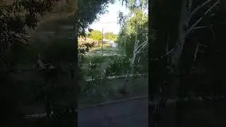 19 июня 2023 г.