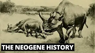 What Was It Like During The Neogene Time Period?