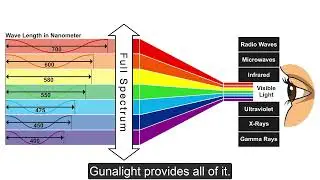The Gunalight: What Is Full Spectrum Light And How Does It Work?