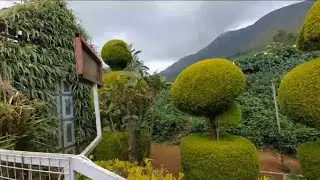 Botanical  garden in munnar