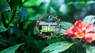 🌿 Монарда: Пряна та Лікувальна Красуня для Вашого Саду! 🌿 ▶ Квітучий Дім 38 Серія ▶ 6соток