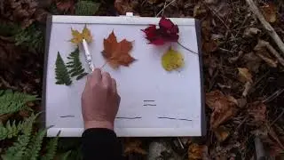 Grade 1: Math Lesson #33 Writing Subtraction Number Sentences