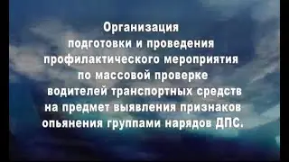 ГИБДД ловит пьяных