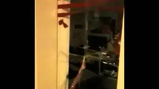 Roommate vs Tape Wall