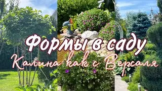 Формы в саду , как сделать сад уникальным