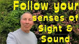 Follow your senses of sight and sound along this English Rural Country Walk. A 'touch' of ASMR.