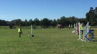 Traume 27/8-16, 1m
