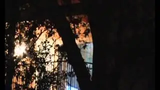Жизнь В Гипнотическом Сне