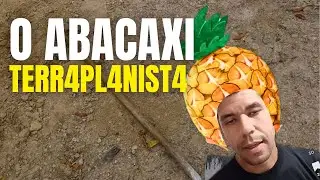 🔴TP #pensandoforadacaixa “DESTRÓI” A EVOLUÇÃO COM UM… ABACAXI 🤣🤣 - OVERMUNDO