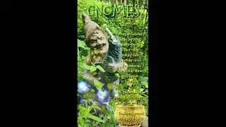 GNOMES