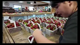 R&A Orchards in Ellijay, Georgia 2024