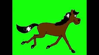 Horse running green screen