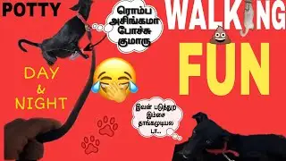 DAY & NIGHT walking😂fun | தமிழில் | pets folder tamil