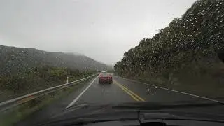 Cayenne chasing Camaro, going to mud roads... animals at middle of the road!?!
