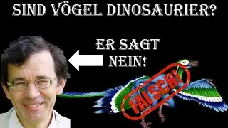 Vom Dino zum Vogel Teil 4: Kreationisten und die Vogelevolution
