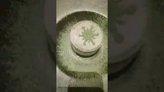 白雪姫のリカタ餅ケーキ