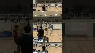 Middle T-Line!