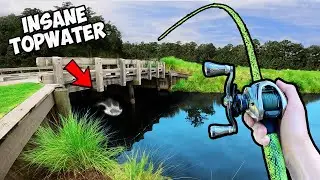 1v1 Crazy Lures ONLY Bass Fishing Tournament (INSANE)