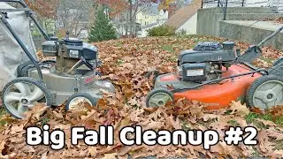 Big Fall Cleanup #2 - Late November