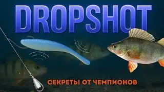 Dropshot. Predator Killer. Pro Tips. Master Class.