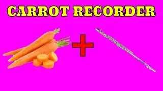 DIY CARROT RECORDER!!!