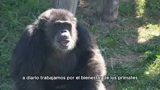 5 éxitos del 2023
