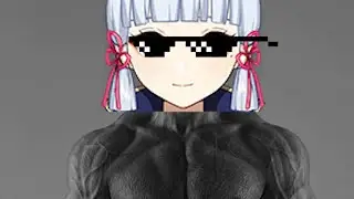 Ayaka banner