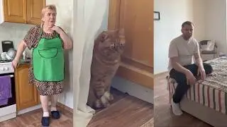 Visiting Mom and Nadia: How Our First Night in the New Apartment Went, Cats Are Settling In, Samv...