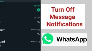 How To Mute chat conversation from specific contact