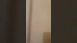 Самара недвижимость. 2х.ком.квартира Торговый переулок 26.