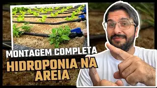 Como montar uma Hidroponia na areia - Passo à passo! 😃🌱