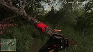 Tree Sound Demonstration